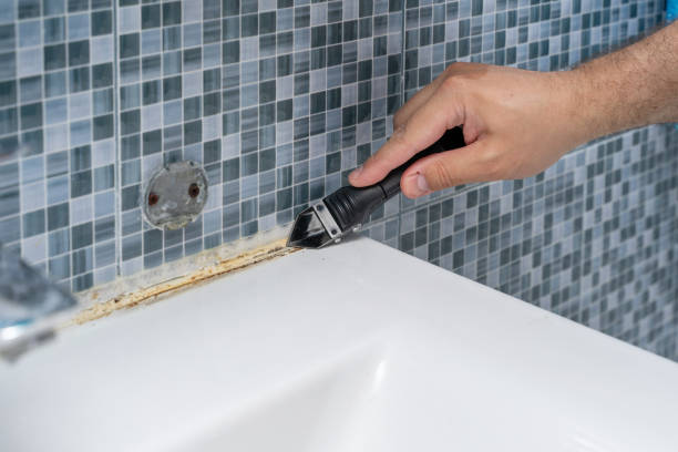 Best Mold Removal Near Me  in Lewiston, ID