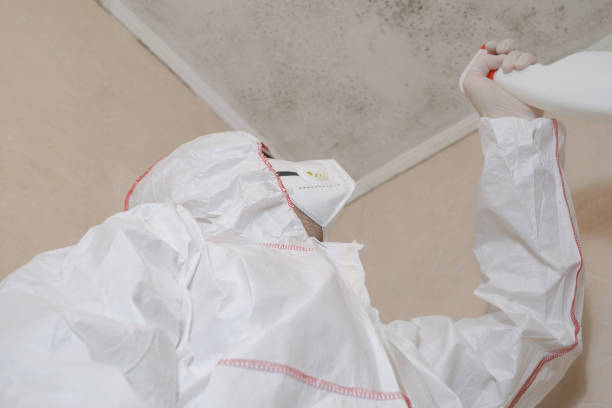 Best Crawl Space Mold Removal  in Lewiston, ID